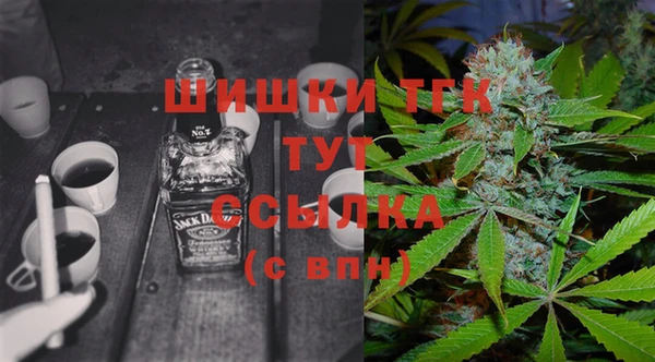 дурь Пестово