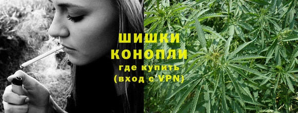 дурь Пестово
