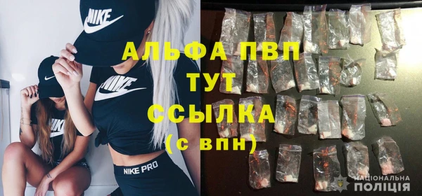 дурь Пестово