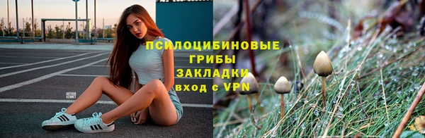 дурь Пестово