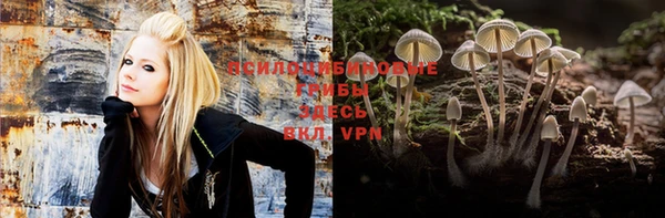 дурь Пестово