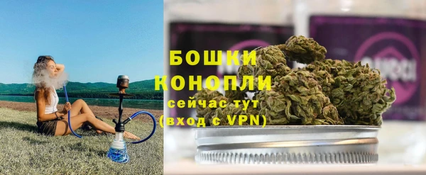 дурь Пестово