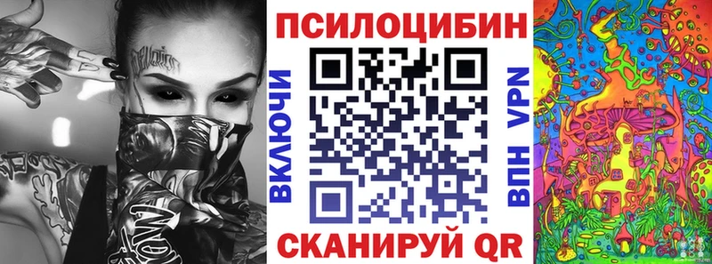OMG зеркало  Ядрин  Галлюциногенные грибы Psilocybine cubensis  где купить  